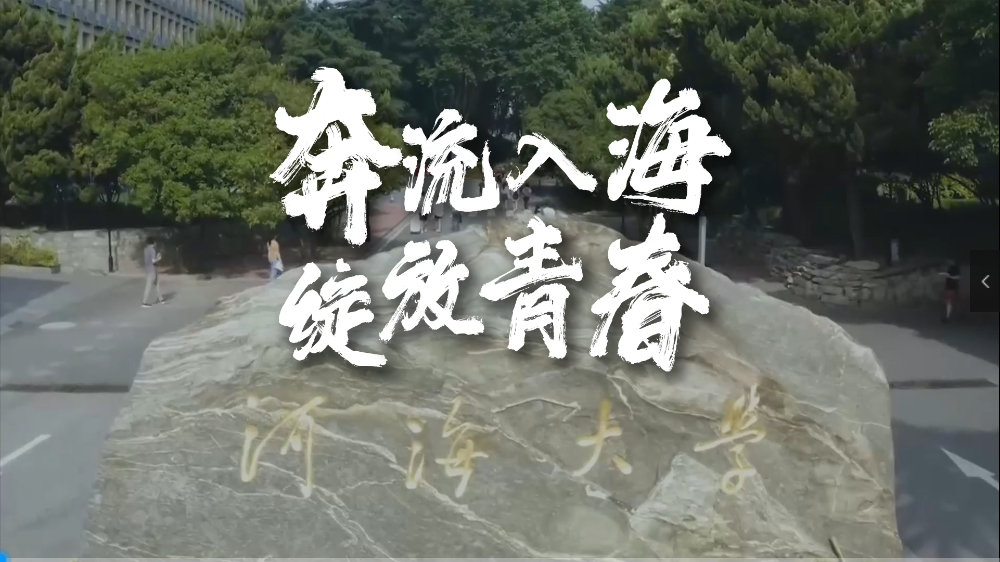 奔流入海，绽放青春